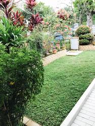 Ming Teck Park (D10), Terrace #140722342